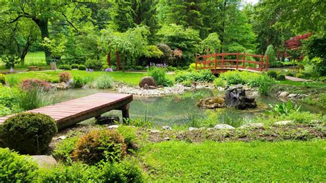 Bambusov gozdiček v japonskem vrtu