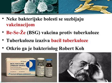 Simboli za bakterije