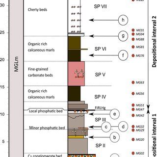 diagram barv dojenčkovega blata