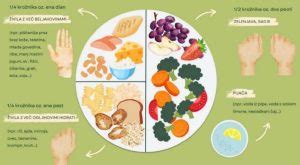 Prikaz zdravega nosečniškega krožnika