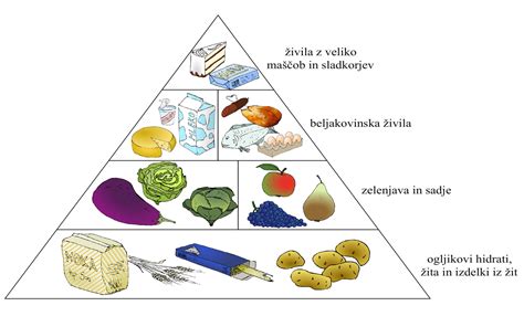 Pregled zdrave prehranske piramide za nosečnice