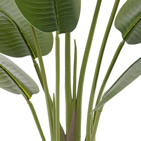 Nosečnica z velikimi dojkami