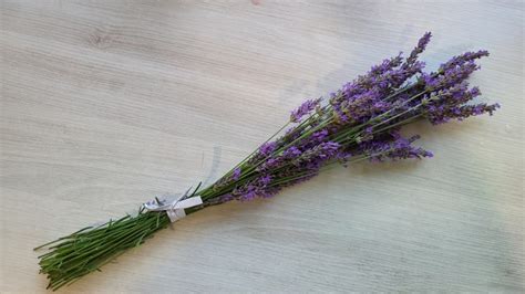 Šopek sveže poprove mete