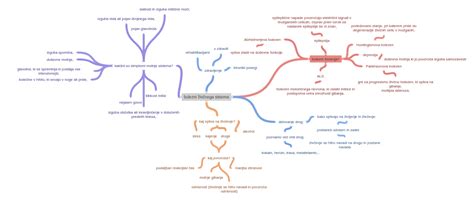 Diagram živčnega sistema