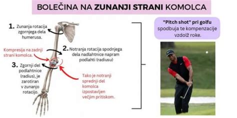 Anatomija burze komolca