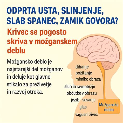 Grafikon prikazuje razvoj možganskih povezav v zgodnjem otroštvu