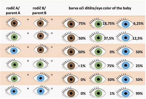 Diagram dedovanja barve oči
