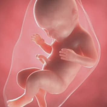 Diagram prikazuje različne faze nosečnosti in priporočene preiskave