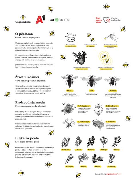 Infografika o preprečevanju ugrizov klopov