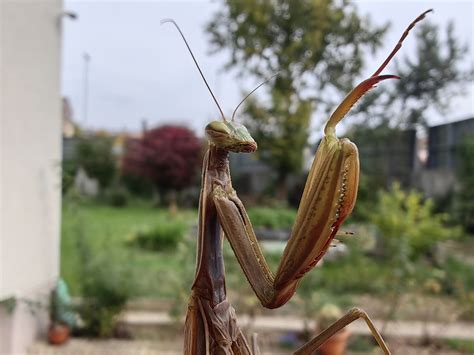 Makro fotografija detajlov dojenčka