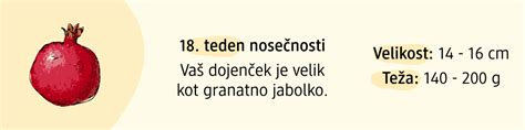 Telo nosečnice v 18. tednu nosečnosti