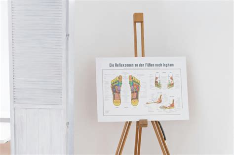 Diagram ženskega reproduktivnega sistema z označenimi organi