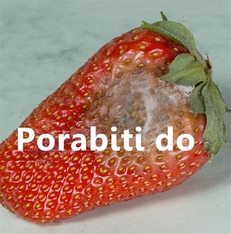 Ilustracija označb 