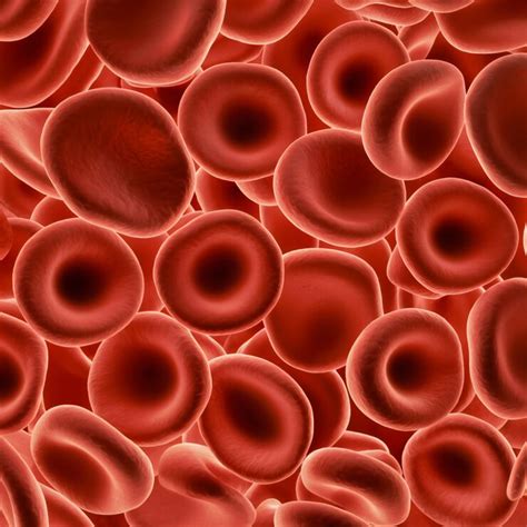 Primerjava zdravega eritrocita in eritrocita pri anemiji srpastih celic