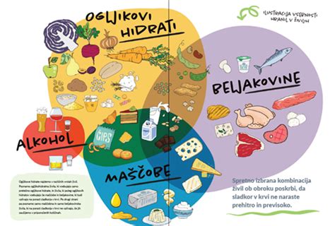 Ilustracija varnih in nevarnih živil v nosečnosti