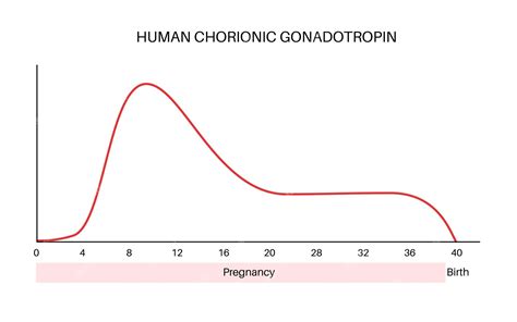 Diagram človeškega horionskega gonadotropina (hCG)
