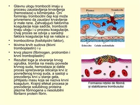 Sluzasti čep z primesjo krvi