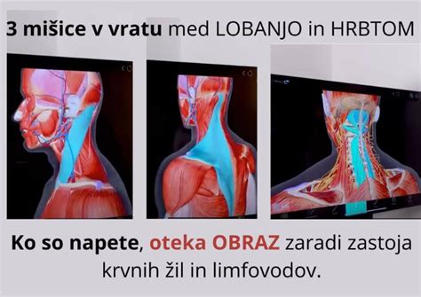 dojenček razvija vratne mišice