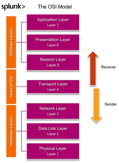 Diagram hormonske osi pri moških