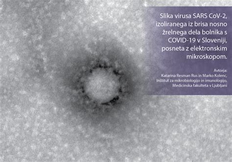 Mikroskopska fotografija zdrave in nezdrave sperme