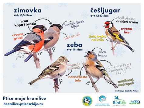 Ilustracija, ki prikazuje, kako se otrokova glava ob padcu nesorazmerno premakne