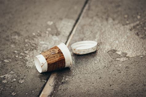 Različni siri, nekateri označeni kot varni, drugi kot odsvetovani