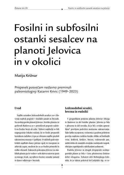 Fosilni ostanki rastlin iz mezozoika