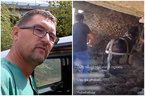 Veterinar izvaja endoskopijo konja