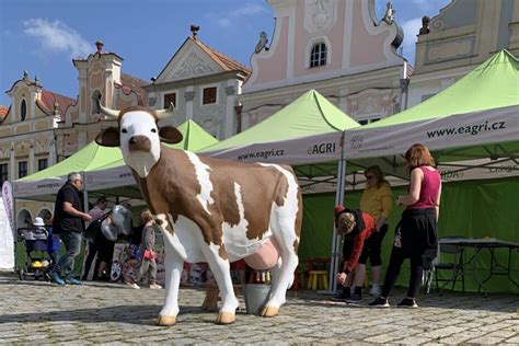 Krava, ki doji telička