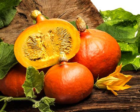 Oranžna buča hokaido