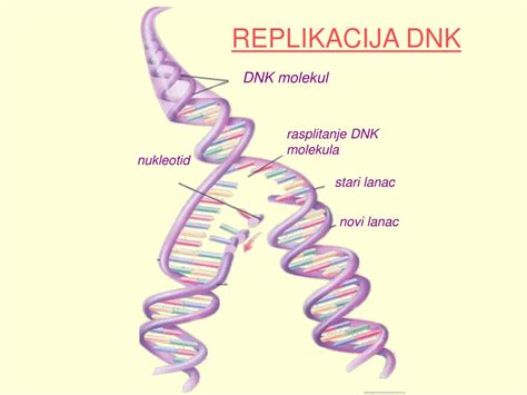 Vizualizacija DNK lanca