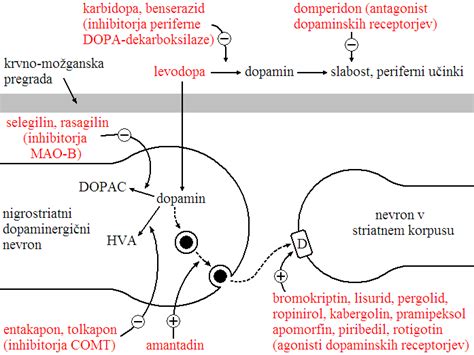Shema atopijskih bolezni