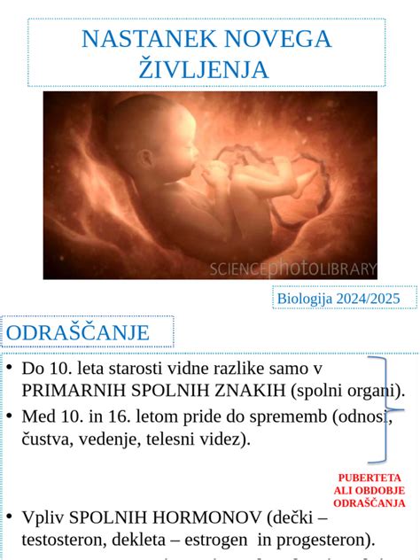 Simbol dojenčka kot simbola novega življenja