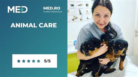 Veterinar med posegom sterilizacije psice