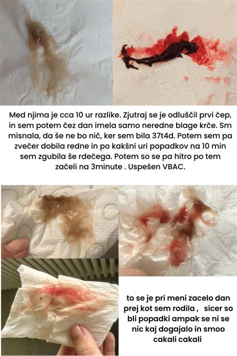 Diagram, ki prikazuje luščenje plodovih ovojev