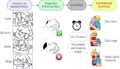 Infografika o pravilnem pristavljanju dojenčka na dojko.