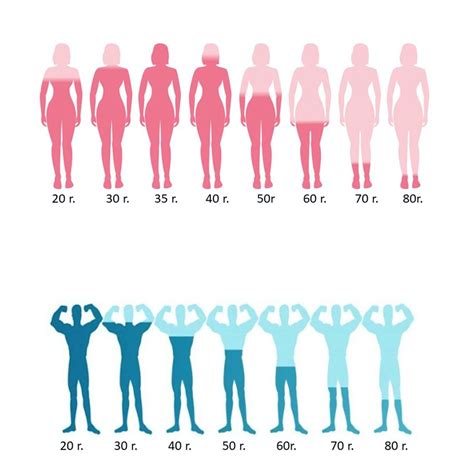 Grafikon, ki prikazuje hormonske spremembe pri moških med nosečnostjo partnerke