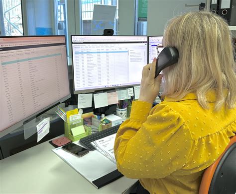 Plod med razvojem v drugem trimesesečju