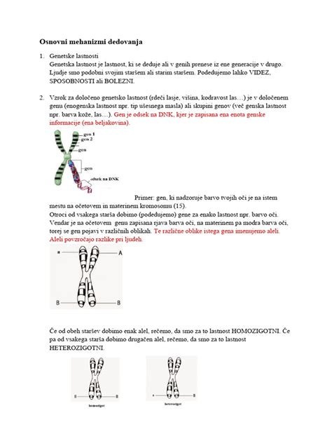 Grafična predstavitev dedovanja genov s pomočjo kromosomov