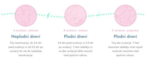 Primerjava mikroskopskih slik sline, ki prikazujejo pikčasto strukturo (neplodni dnevi) in strukturo praproti (plodni dnevi)