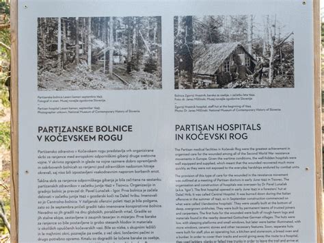 Partizanska bolnišnica Zgornji Hrastnik v gozdu