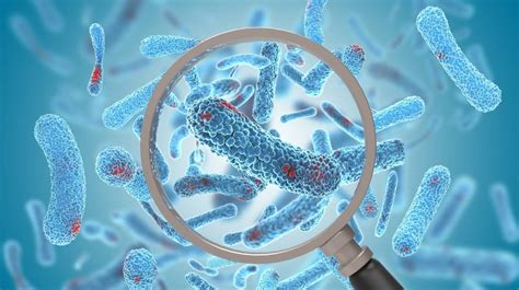 Diagram prikazuje, kako se bakterije odzivajo na antibiotik tobramicin