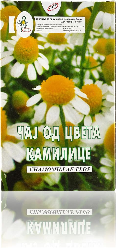 Cvet kamilice