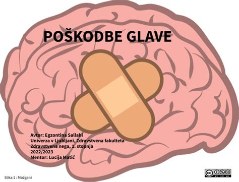 Grafični prikaz možnih znakov poškodbe glave