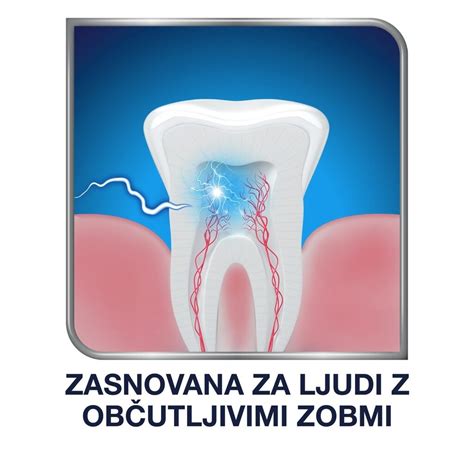 Zobna vrsta z označenimi modrostnimi zobmi