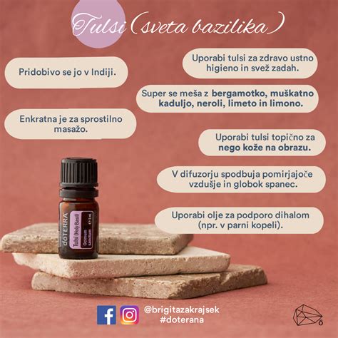 Ilustracija nageljnovih žbic