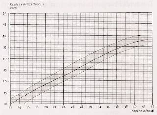 Ilustracija maternice med nosečnostjo
