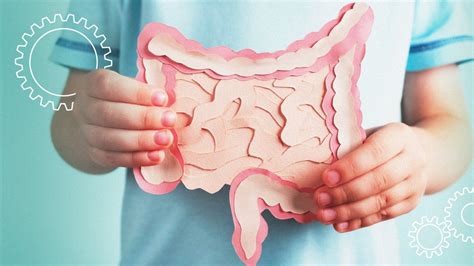 Ilustracija zdravega črevesja