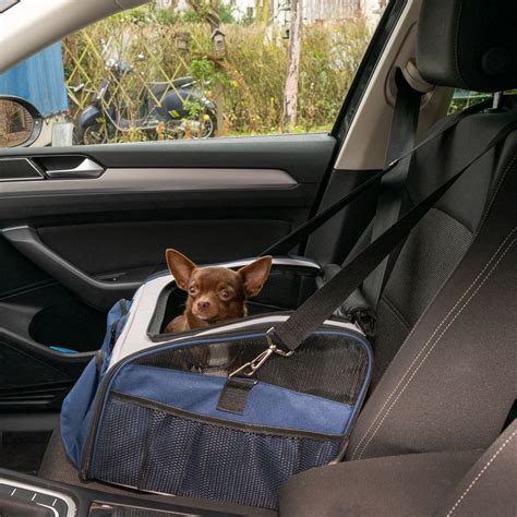 vozicek<em>z</em>varnostnim_pasom