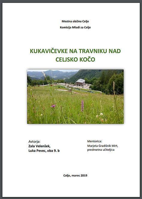 Mladi labradorec, ki veselo teče po travniku